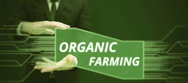 Conceptual Caption Organic Farming Business Showcase Agriculture System Use Ecological — 스톡 사진