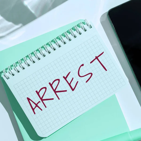 체포를 알리는 Business Overview 권한을 사람을 체포하여 — 스톡 사진