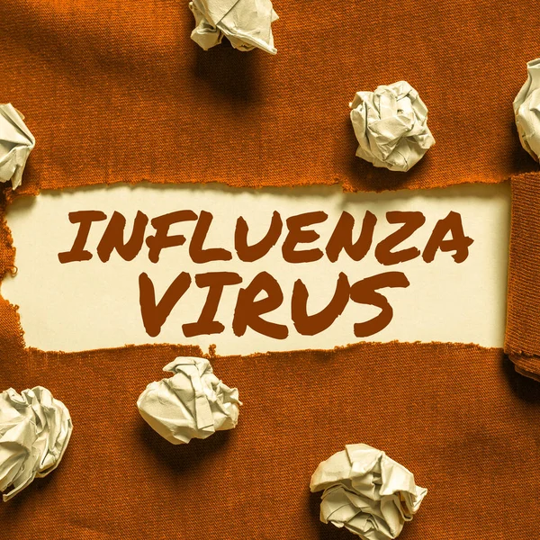 Signo Texto Que Muestra Virus Gripe Foto Conceptual Una Enfermedad —  Fotos de Stock