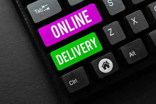 Online Delivery Business Overview 전달하는 행위나 방법을 기술한다 — 스톡 사진