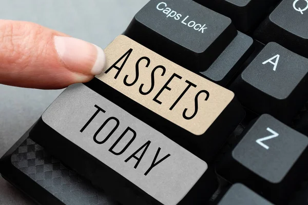 Sign Displaying Assets Word Written Item Property Owned Person Company — Stock Photo, Image