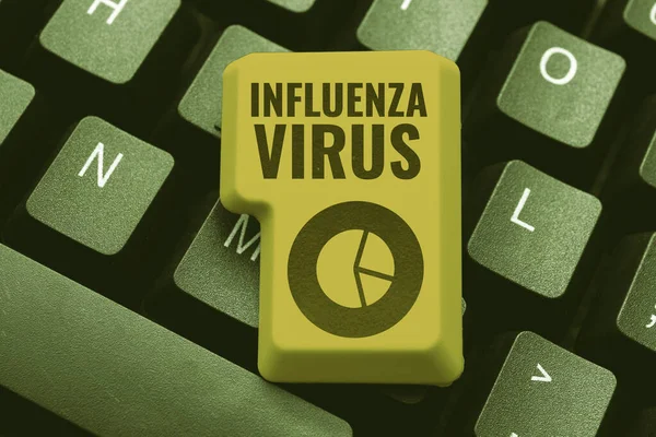 Szöveg Megjelenítése Influenza Vírus Üzleti Áttekintés Egy Influenzavírus Által Okozott — Stock Fotó