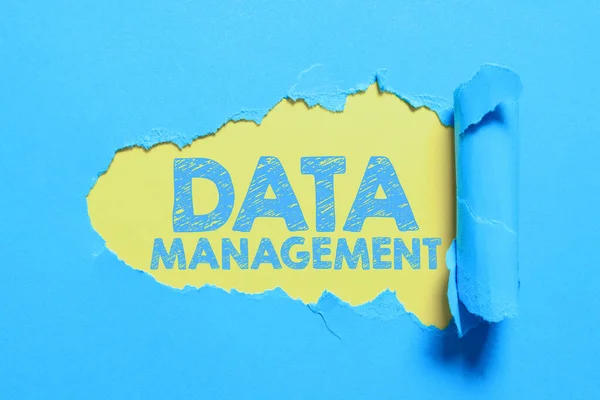 Verilerin Değerli Bir Kaynak Olarak Yönetilmesiyle Ilgili Veri Yönetimi Vitrini — Stok fotoğraf