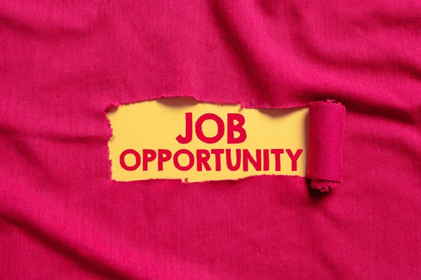 Sinal Texto Mostrando Job Opportunity Palavra Para Uma Oportunidade Emprego — Fotografia de Stock