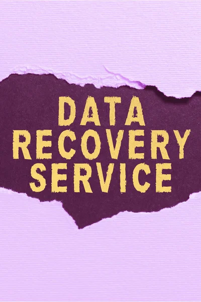 Sign Exibindo Serviço Recuperação Dados Abordagem Negócios Processo Recuperação Dados — Fotografia de Stock