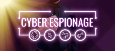 Kavramsal başlık Siber Casusluk, iş genel değerlendirmesi izin almadan bilgi ve sırları elde etmek