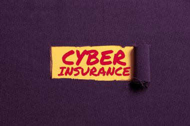 Metin Siber Sigortası, İş ve kullanıcıları İnternet tabanlı risklerden korumak anlamına gelen kavram yazımı