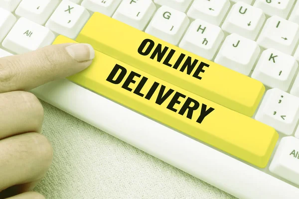 Online Delivery Net 무엇인가를 전달하는 행위나 방법에 기록된 — 스톡 사진