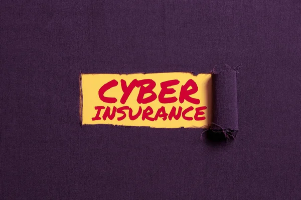 Psaní Textu Kybernetické Pojištění Pojetí Ochrana Podnikání Uživatelů Před Riziky — Stock fotografie