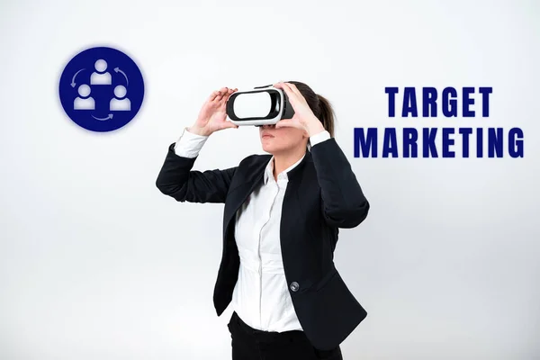 Target Marketing 인터넷 데이터베이스 Global Marketing Business Overview Market Seggree — 스톡 사진