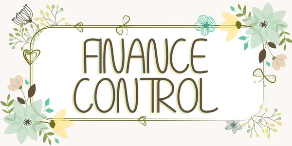 관리를 시행되는 Concerepeption Finance Control — 스톡 사진