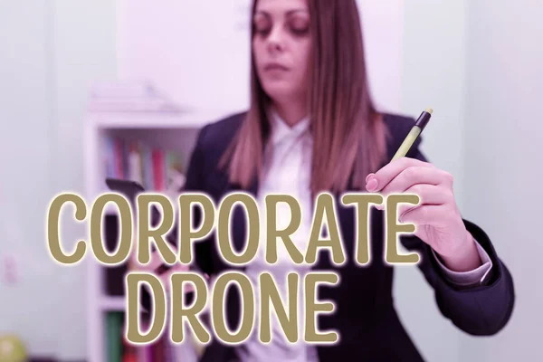 비즈니스 주변의 비즈니스를 모니터링하기 비즈니스 항공기 Drone — 스톡 사진