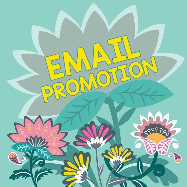 Email Promotion Business Overview Commercial Broadcast 동기를 제공하는 방송이다 — 스톡 사진