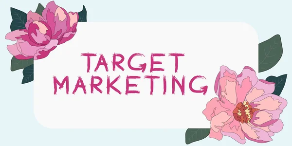 Conceptual Display Target Marketing Business Idea Market Segmentation Audience Targeting — Stock Photo, Image