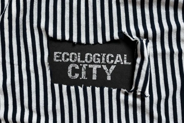 Podpis Tekstowy Przedstawiający Ekologiczne Miasto Słowo Napisane Ludzkiej Osadzie Wzorowane — Zdjęcie stockowe