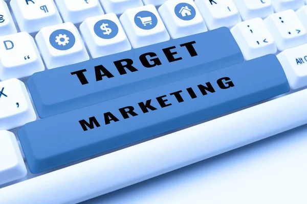 Target Marketing 인터넷 데이터베이스 Market Seggress Audience Targeting Customer Selection — 스톡 사진