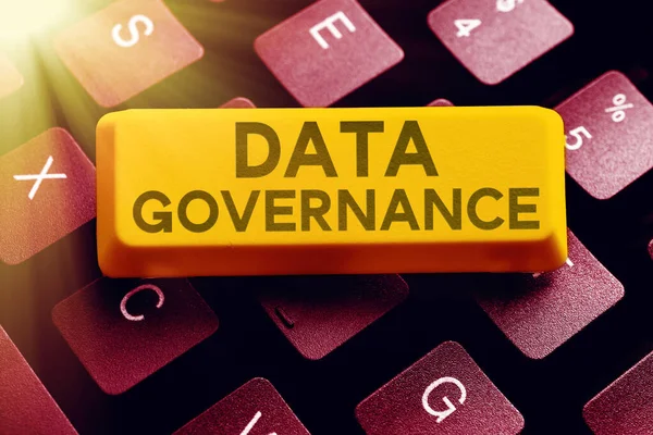 Firma Visualizzazione Dei Dati Governance Approccio Aziendale Gestione Generale Delle — Foto Stock