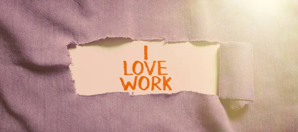Legenda Texto Apresentando Love Work Internet Concept High Self Stem — Fotografia de Stock