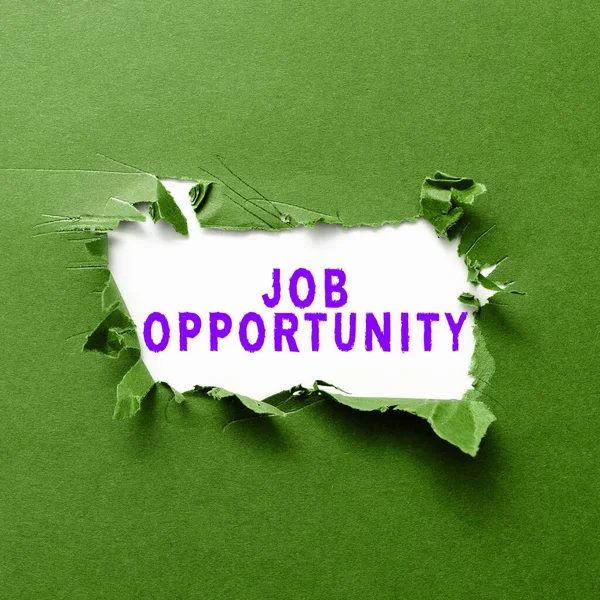 Konzeptionelle Darstellung Job Opportunity Business Überblick Eine Beschäftigungschance Oder Die — Stockfoto