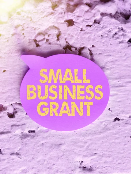Legenda Conceitual Small Business Grant Business Mostra Uma Empresa Individual — Fotografia de Stock