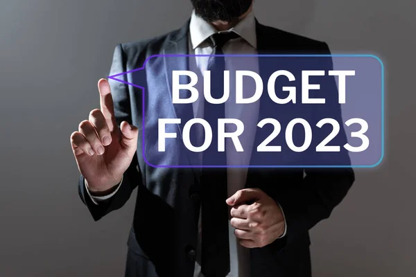 Text Showing Inspiration Budget 2023 Business Overview Written Estimates Income — Stock Photo, Image