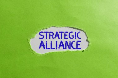 Kavramsal başlık Stratejik İttifak, devletler, partiler ve hedef başarı konusunda bireyler arasındaki bağ üzerine iş genel değerlendirmesi