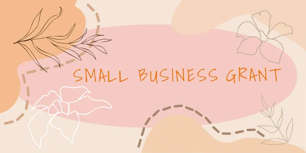Testo Che Mostra Ispirazione Small Business Grant Business Idea Azienda — Foto Stock