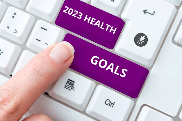 2023 Health Goals Business Overview Celebration Year 2023 — 스톡 사진
