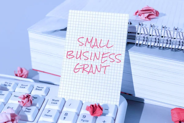 Text Som Visar Inspiration Small Business Grant Business Approach Ett — Stockfoto