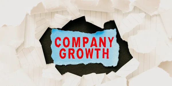 Podpis Koncepcyjny Wzrost Firmy Pomysł Biznes Długoterminowy Etap Którym Przedsiębiorstwo — Zdjęcie stockowe