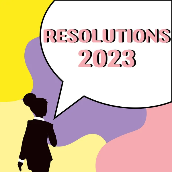 Affichage Conceptuel Résolutions 2023 Concept Signifiant Liste Des Choses Que — Photo