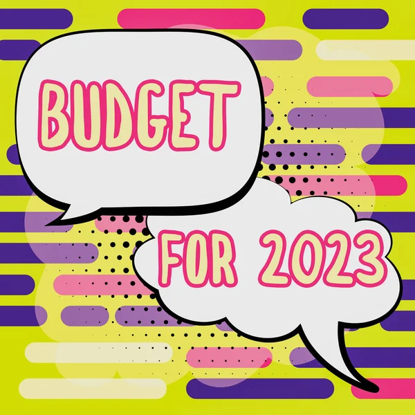 Pie Foto Conceptual Presupuesto Para 2023 Idea Negocio Estimaciones Escritas — Foto de Stock