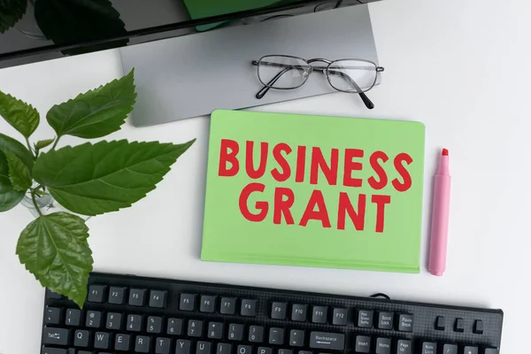 Texto Que Mostra Inspiração Business Grant Ideia Negócio Estratégias Trabalho — Fotografia de Stock