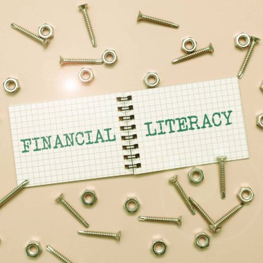 Kavramsal başlık Finansal Edebiyat, İnternet Kavramı Paranın nasıl çalıştığına dair bilgi sahibi ve anlayışlı