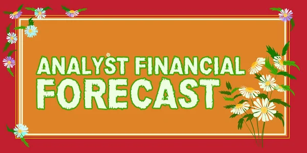 Konceptuální Zobrazení Analyst Financial Forecast Business Idea Odhad Budoucích Finančních — Stock fotografie