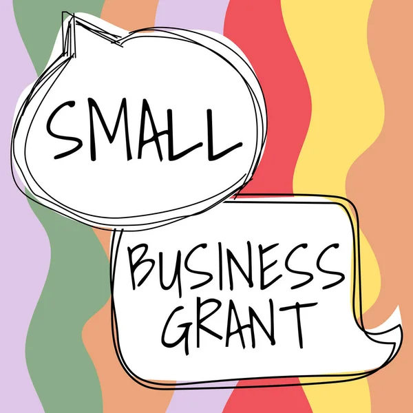 Legenda Texto Apresentando Small Business Grant Foto Conceitual Negócio Propriedade — Fotografia de Stock