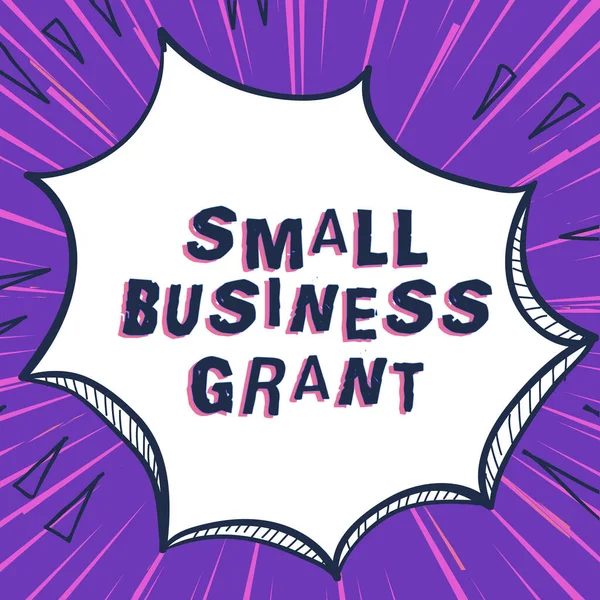 Cartello Visualizzazione Small Business Grant Business Panoramica Una Singola Azienda — Foto Stock