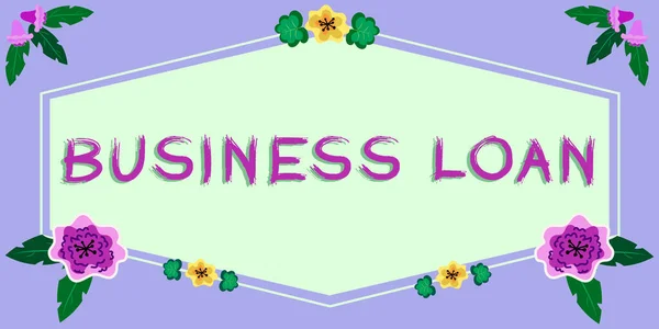비지니스 Business Loan 이라는 서명이 이라는 모기지 부채를 — 스톡 사진