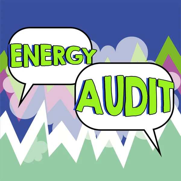 Inspiráció Táblák Bemutatására Energia Audit Business Showcase Assessment Energy Needs — Stock Fotó