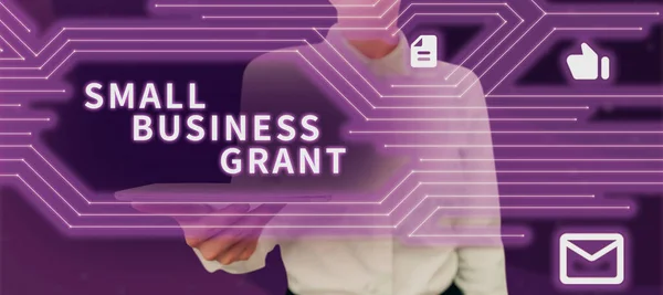 Sinal Texto Mostrando Small Business Grant Business Mostra Uma Empresa — Fotografia de Stock