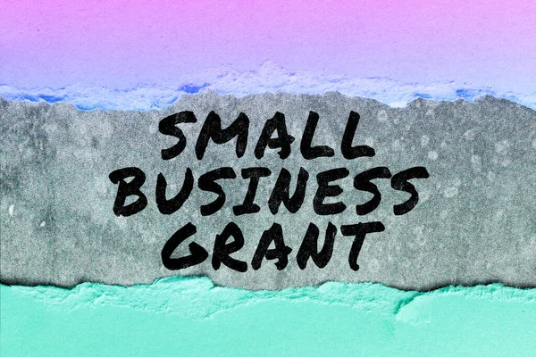 Inspiración Mostrando Signo Small Business Grant Idea Negocio Una Empresa —  Fotos de Stock