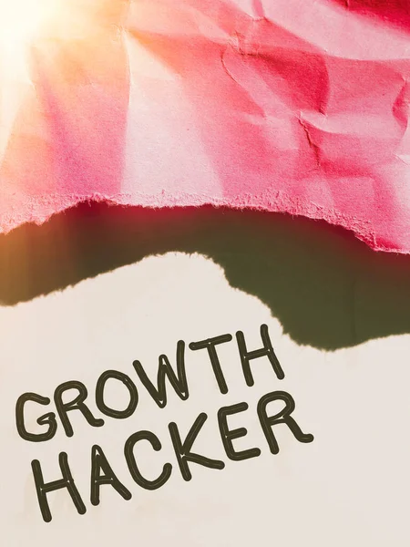 Handschrift Zeichen Wachstum Hacker Business Konzept Allgemeinen Viele Benutzer Oder — Stockfoto