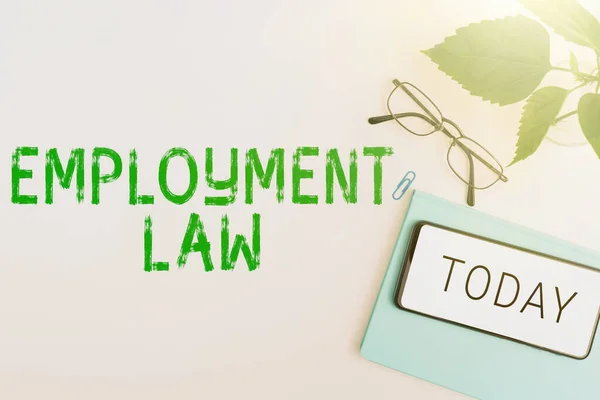 就业法 的启示 商业方法涉及雇主和雇员的法定权利和义务 — 图库照片
