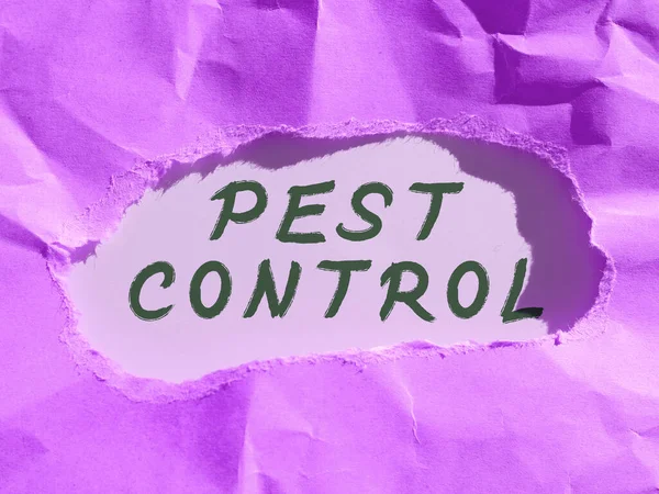 Psaní Textů Pest Control Business Overview Zabíjení Destruktivního Hmyzu Který — Stock fotografie