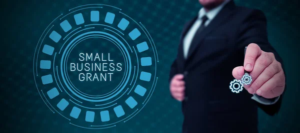中小企業助成金の表示にサイン ビジネスの概要は その限られたサイズで知られている個人所有のビジネス — ストック写真