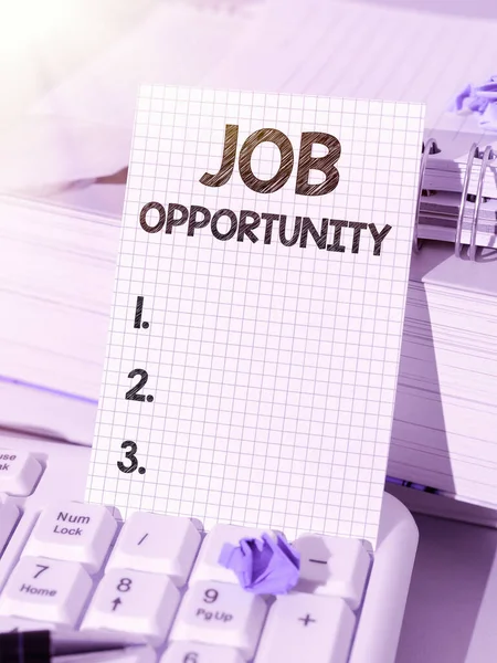 Escrevendo Exibindo Texto Job Opportunity Visão Geral Negócios Uma Oportunidade — Fotografia de Stock