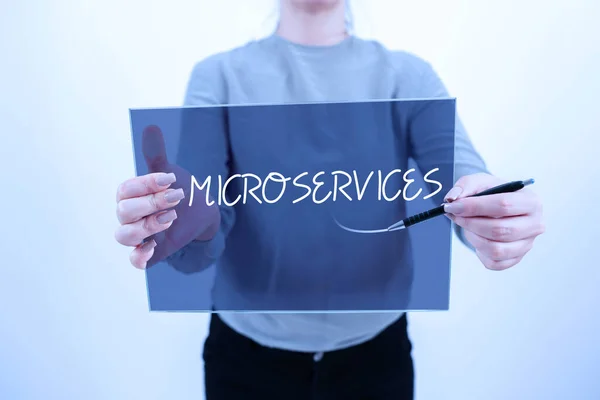 Microservices Imzasını Gösteren Ilham Kaynağı Kavramsal Fotoğraf Yazılım Geliştirme Tekniği — Stok fotoğraf