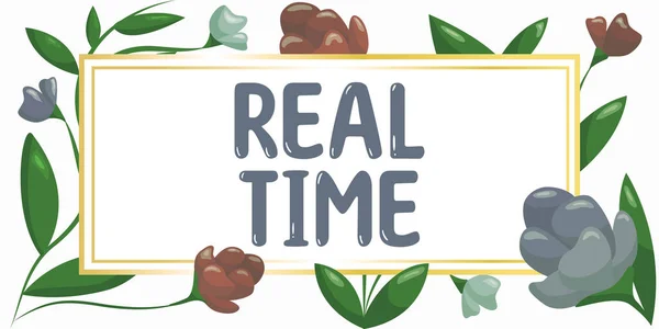 Sign Weergeven Van Real Time Business Concept Werkelijke Tijd Waarin — Stockfoto