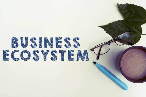 Handstilstext Företagsekosystem Affärsöversikt Utveckla Och Implementera Organisatoriska Tillväxtmöjligheter — Stockfoto