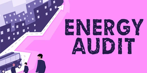 Ecriture Manuscrite Energy Audit Business Idea Assessment Des Besoins Énergétiques — Photo